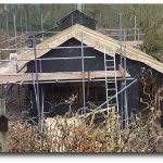 Timber Frame Cabin in the Woods